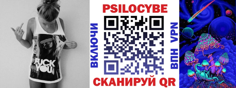 блэк спрут ссылка  как найти   Никольск  Псилоцибиновые грибы мицелий 